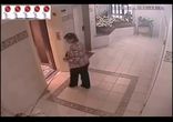 Хозяйка уехала на лифте без мопса