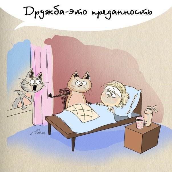 Что такое дружба