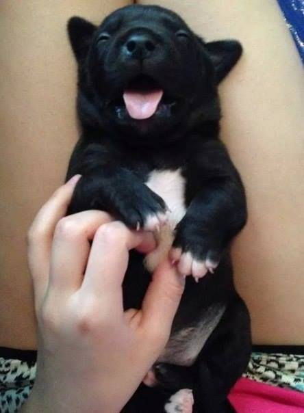 Счастье в наших руках