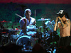 Red Hot Chili Peppers 