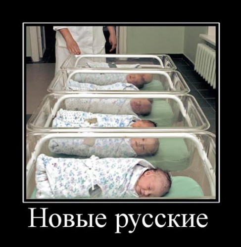 Пятничные демотиваторы