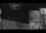 Ray J - Never Shoulda Did That