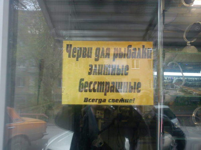 Маразмы месяца