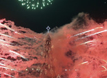 2010 рік