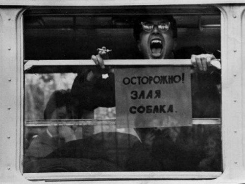 Фотоприколы