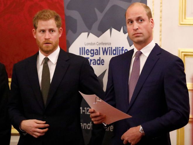 Принц Гаррі та принц Вільям