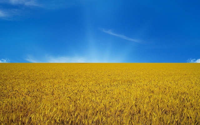 Украинское поле