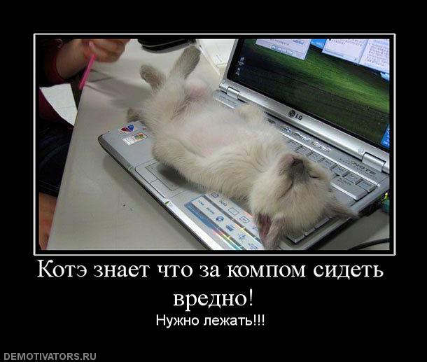 bab9059c55f013e9cbb9a178a0adda88_pozdrav