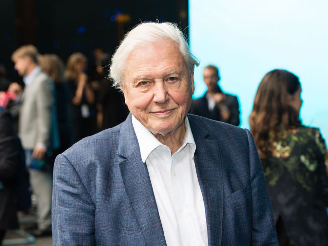 Девід Аттенборо