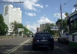 Дикий гость столицы