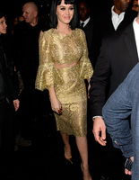 The BRIT Awards 2014 The BRIT Awards 2014