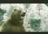 пивасик