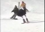 страус на лыжах