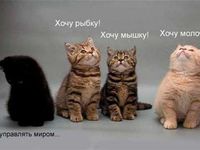 Пусть твои желания совпадают с возможностями!
