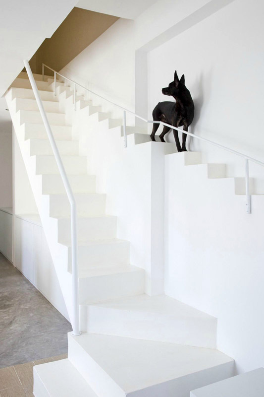 Лестница для маленьких собак