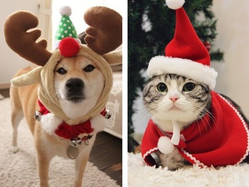 Костюмы для животных на Новый год