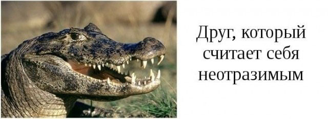 Категории друзей
