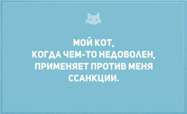 Без кота и жизнь не та