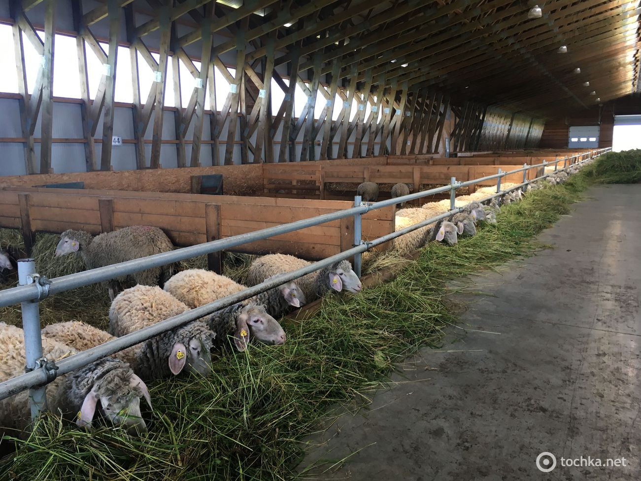 Мерінос_Захід