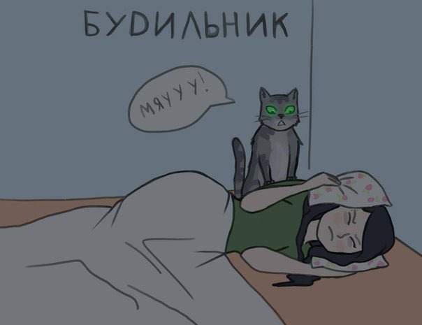 Главный помощник в доме