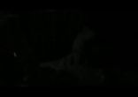 Alexander Brown Ft. The Storm - Mind Distorted
