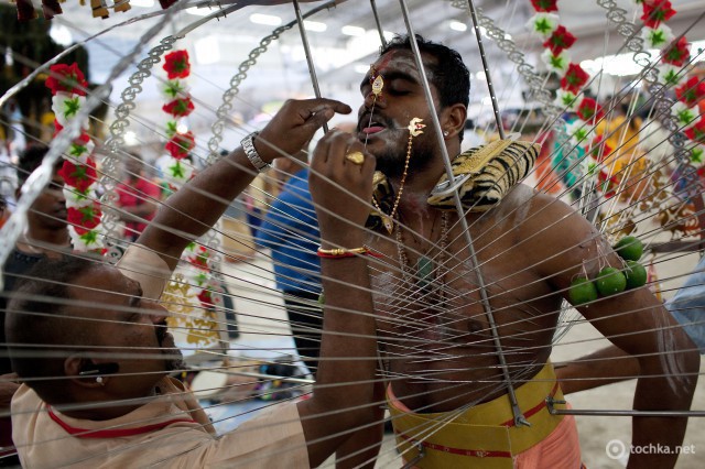 the traditions practices and the processes in the thaipusam festival A tapestry of colours observe thaipusam and not every chinese celebrates the nine emperor gods festival beliefs and cultural practices. the traditions practices and the processes in the thaipusam festival A tapestry of colours observe thaipusam and not every chinese celebrates the nine emperor gods festival beliefs and cultural practices.