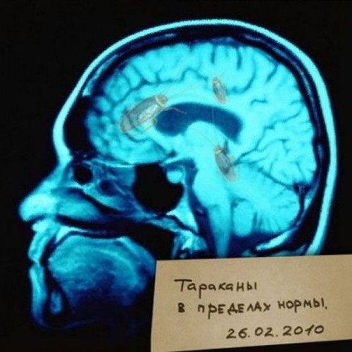 Прикольная фотоподборка