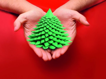 Где купить елку в Киеве