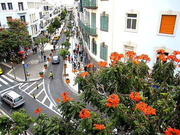 Фестиваль цветов на острове Мадейра