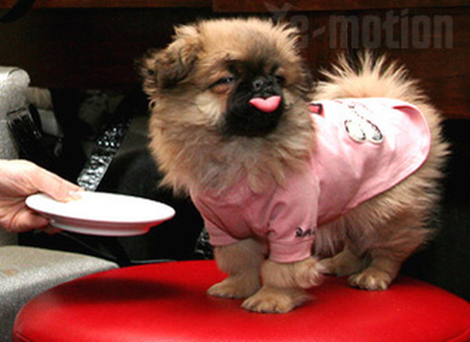 Эксперимент удался