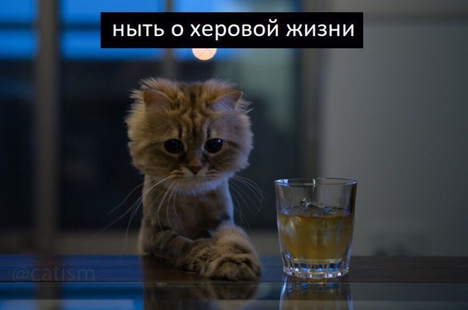 Когда ты мастер: