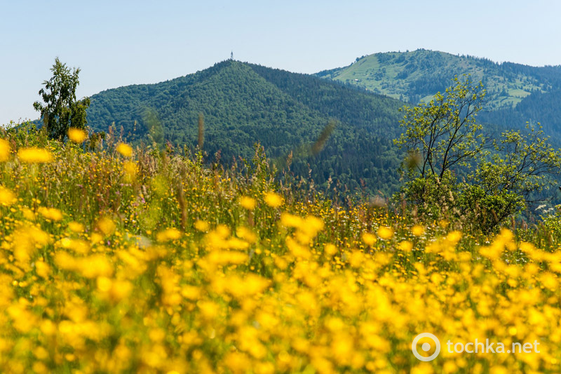 Яремче: смарагдовий колір літа у Прикарпатті