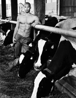 французские фермеры в фотосессии французские фермеры в фотосессии