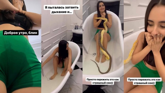 Анна Трінчер