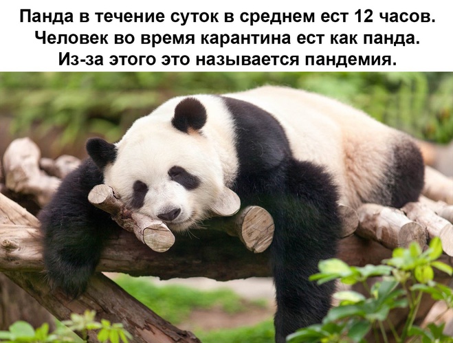 Откуда пошло "пандемия"