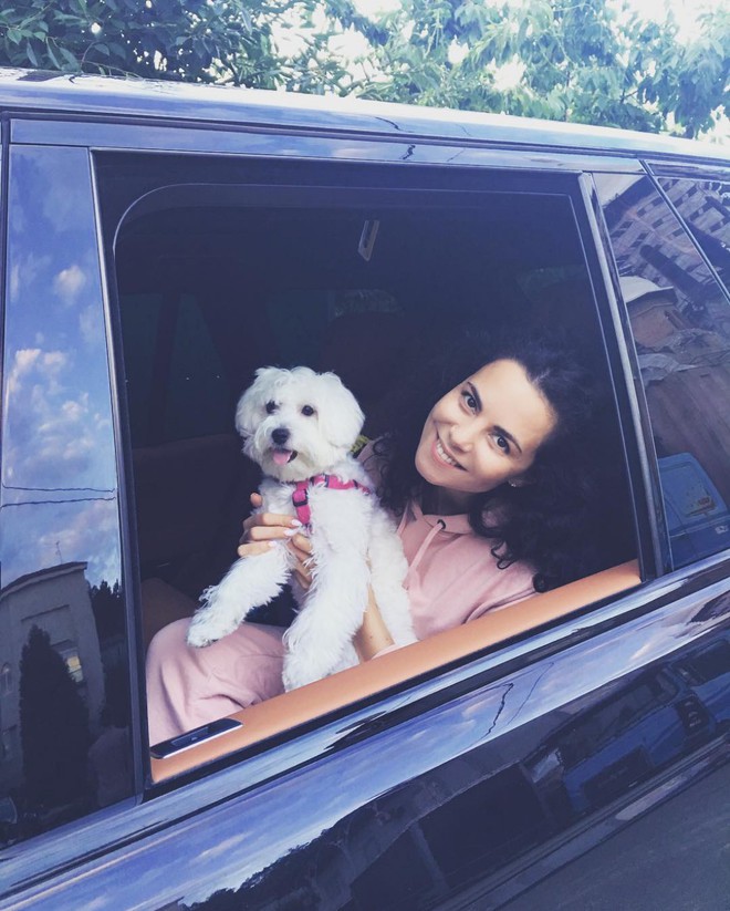 Собаки зірок