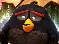 Бомб. The Angry Birds Movie HD