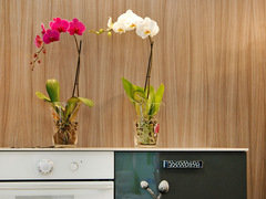 Як пересадити орхідеї в домашніх умовах