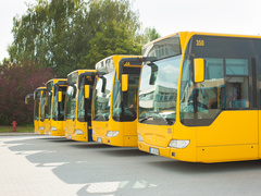 София Киевская