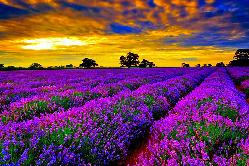 Кинотуризм: 7 невероятных пейзажей из фильмов