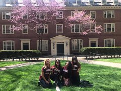 Образование в США