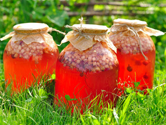 Компот из крыжовника: быстро и просто