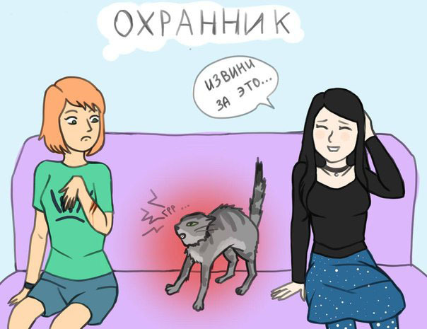 Главный помощник в доме