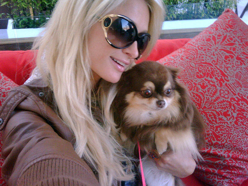 Періс Хілтон