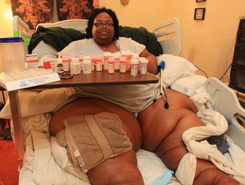 Мисс толстушка