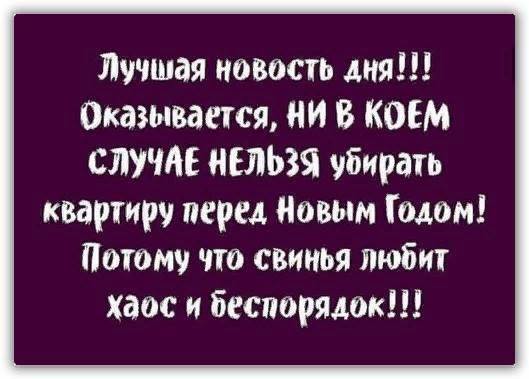 Год свиньи и уборка
