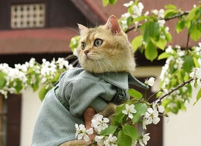 Гороскоп на 15 травня для всіх знаків зодіаку: кому допоможе інтуїція