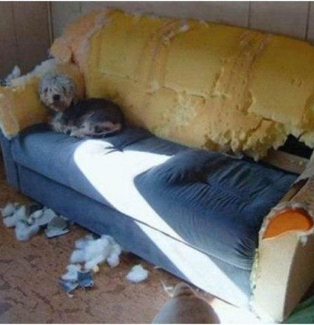 Я просто мимо проходил