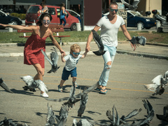 активності