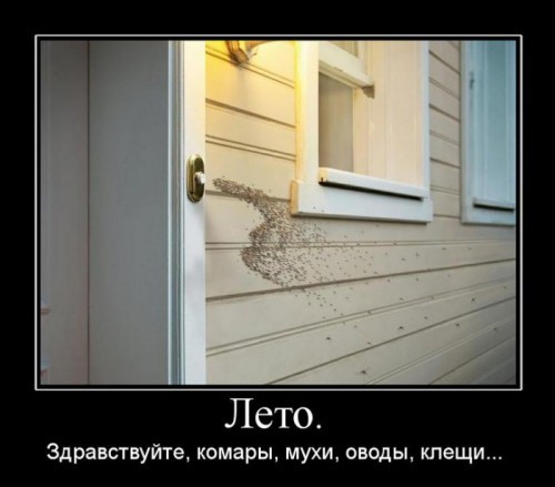 Подборка демотиваторов